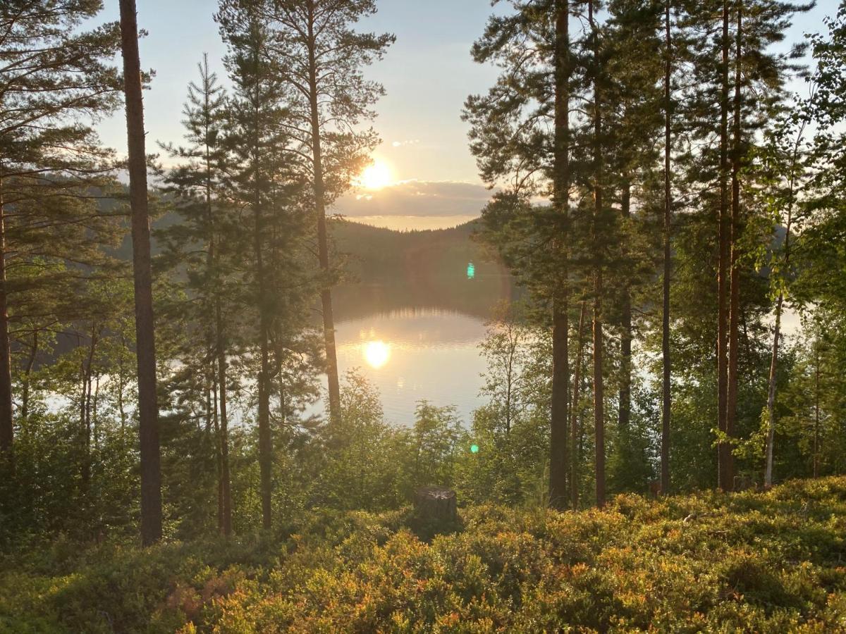 Koli Caravan Cottages Eksteriør billede